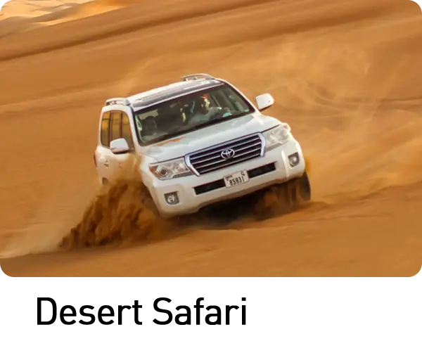 Desert Safari